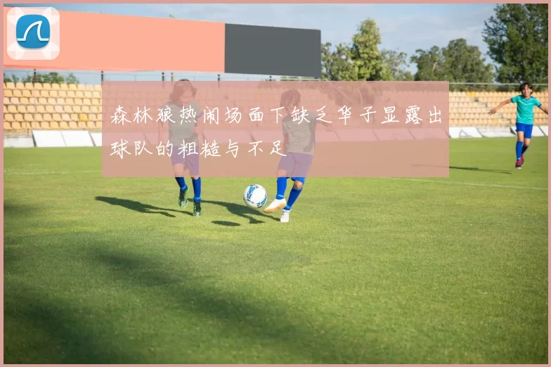 森林狼热闹场面下缺乏华子显露出球队的粗糙与不足