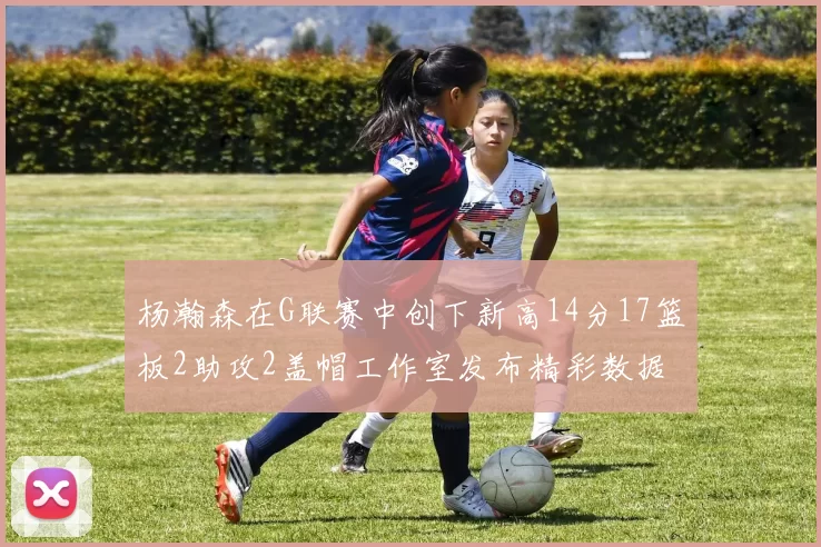 杨瀚森在G联赛中创下新高14分17篮板2助攻2盖帽工作室发布精彩数据海报